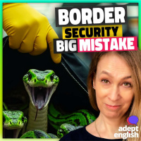 Airport Security Exposes Useful English Travel Vocabulary Ep 826