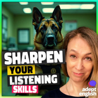 Learn English With Slow News: Police Dog Pensions Ep 813