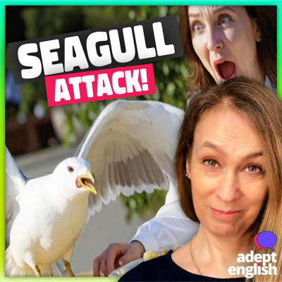 Learn English Through Listening