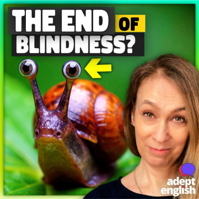 Learn English Through Listening