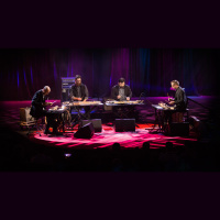 Music for Wood and Strings | Sō Percussion