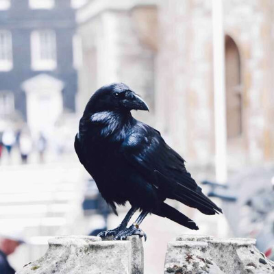 Carioca Connection. Brazilian Portuguese Conversation.