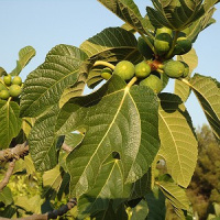 O mundo precisa de sonhadores