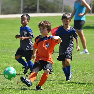 Conversa De Pai: Livros Para Nossas Crianças - Ilan Brenman