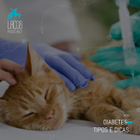 #26: Diabetes: Tipos e Dicas