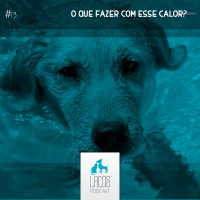 #13: O que fazer com esse calor?