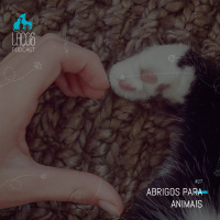 #27: Abrigos para Animais