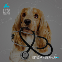 #23: Estudar Veterinária