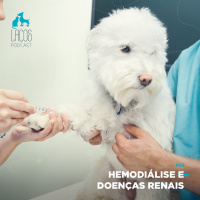 #52: Hemodiálise e Doenças Renais