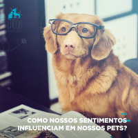 #49: Medicina Integrativa - Como nossos sentimentos influenciam em nossos pets?