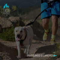 #20: Praticando o Canicross