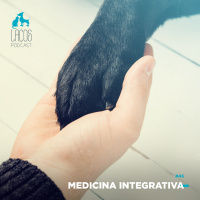 #46: Os Ensinamentos da Medicina Integrativa