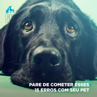 #48: Pare de cometer esses 15 erros com seu pet