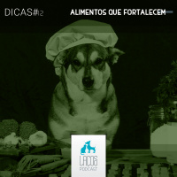 Dicas #12: Alimentos Que Fortalecem