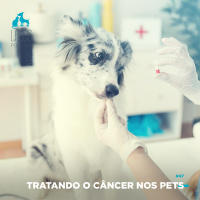 #47: Tratando o Câncer nos Pets