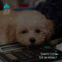 #17: Quanto custa ter um animal?