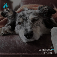 #25: Combatendo os Vermes