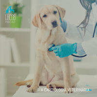 #41: A Cardiologia Veterinária
