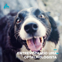 #56: Entrevistando uma Oftalmologista