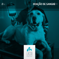 #14: Doação de Sangue: Fatos surpreendentes sobre sua importância