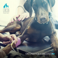 #44: Entendendo a Anestesia