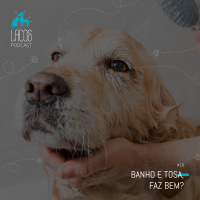 #18: Banho e tosa, faz bem?