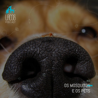 #32: Os Mosquitos e os Pets