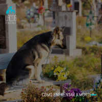 #22: Como enfrentar a morte?