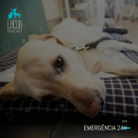 #29: Emergência 24h