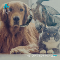 #42: Historias Bizarras - Vol2