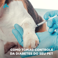 #58: Como Tomar Controle da Diabetes do seu Pet