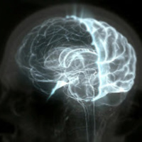 33- El nuevo inconsciente