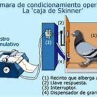 39- El conductismo en el laboratorio: condicionamientos clásico y operante