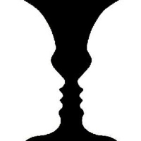 51- Neurociencia: percepción (visual)