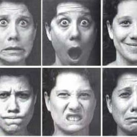 47- Neurociencia: emociones