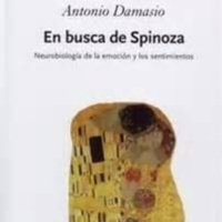 59- Los sentimientos son algo más que emociones