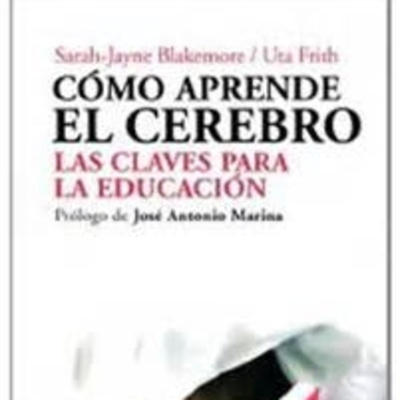 Canal Básico De Psicología