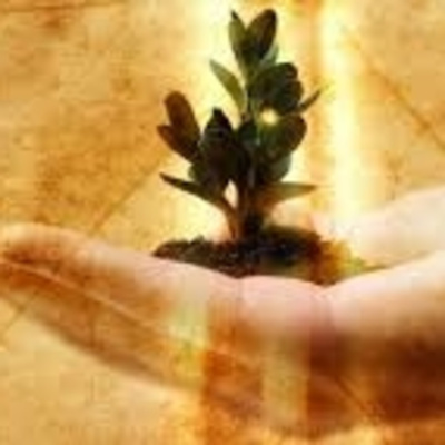 Canal Básico De Psicología