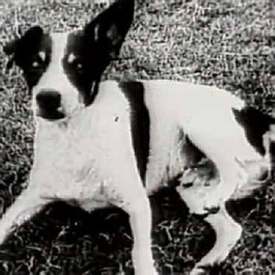 Luiz Antonio Simas - Cultura Popular Carioca