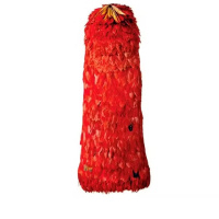 Filme premiado em Cannes sobre Mantos Tubinambá deve estrear em 2026