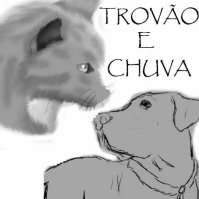 Contador De Historias