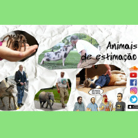 Ep. 99 - Animais de estimação