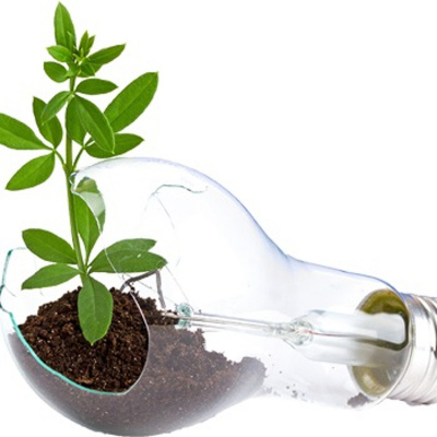 Dinheiro Da Multidao