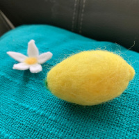 Welcome Back Caity!