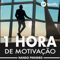 1 HORA DE MOTIVAÇÃO PARA TRANSFORMAR A SUA VIDA - NANDO PINHEIRO
