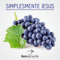 Um passeio pela vinha [Simplesmente Jesus #1]