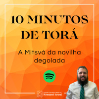 1264 CICLO 10 MINUTOS DE TORÁ: A Mitsvá da novilha degolada