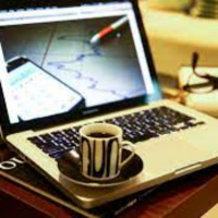 3 dicas práticas para conseguir uma parnassá