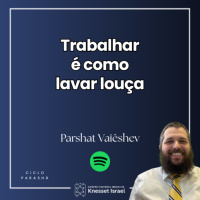 1305 Trabalhar é como lavar louça. Parshat Vaieshev