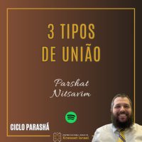 1263 3 Tipos de União. Parshat Nitsavim
